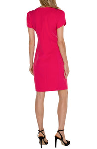 Tulip Sleeve Sheath Dress